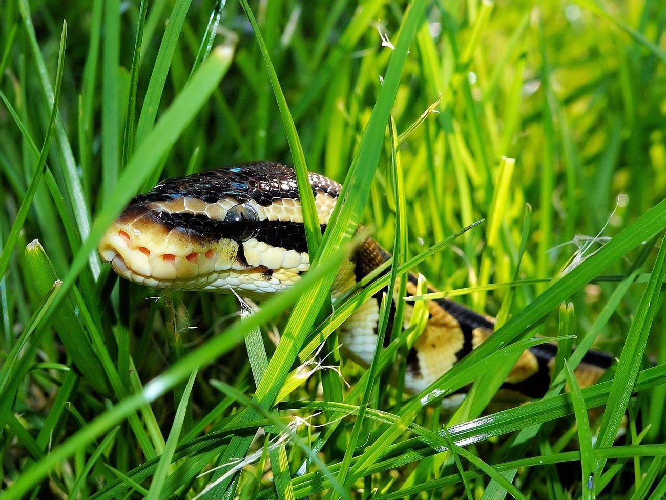 Инцидент произошел 21 июля