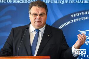 Линкявичюс отметил, что выборы в Украине прошли с соблюдением основных прав и свобод