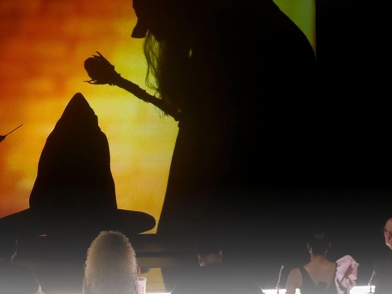 Український театр тіней Verba Shadow бере участь в Аmerica's Got Talent