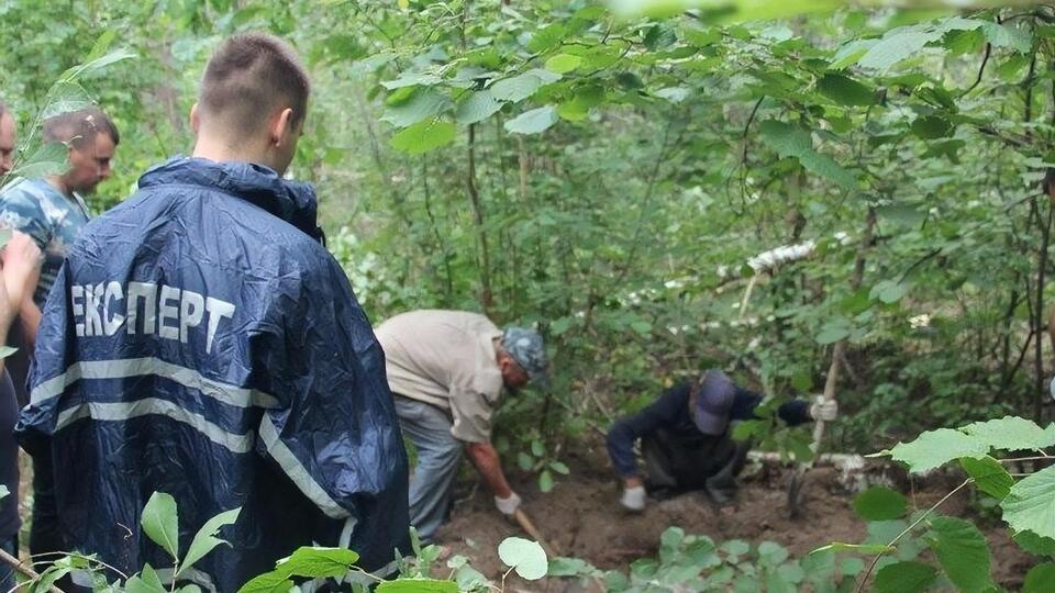 Тіло виявили в лісі біля села Липляни Малинського району