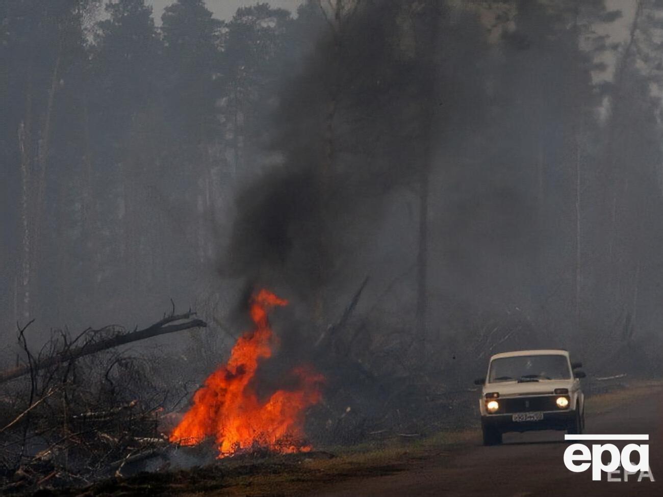 У 2019 році ліс у Росії горів на 11 млн га, повідомили екологи