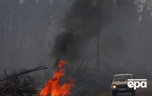 У 2019 році ліс у Росії горів на 11 млн га, повідомили екологи