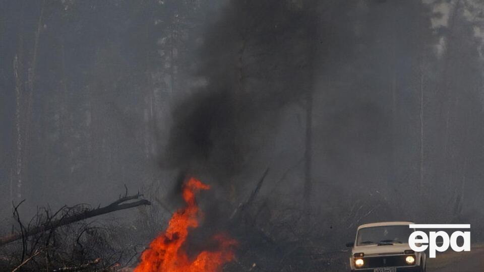 В 2019 году лес в России горел на 11 млн га, сообщили экологи