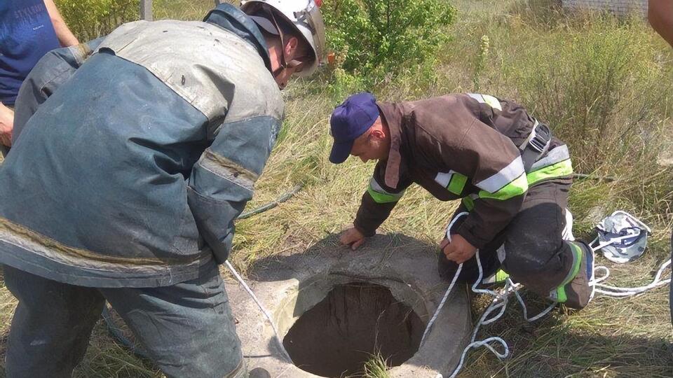 Происшествие случилось в селе Русаки