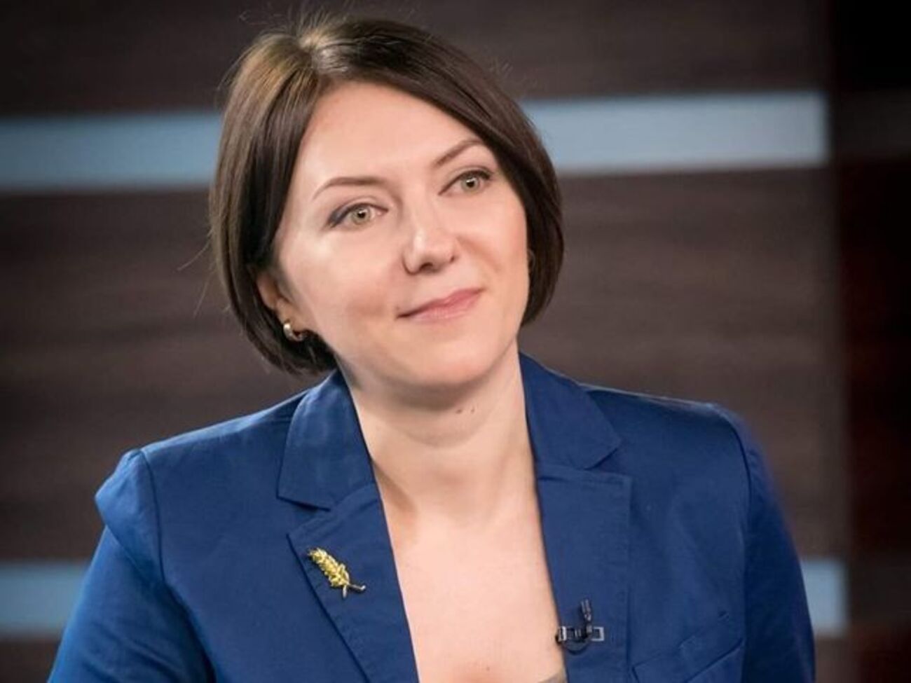 Рішення Верховного Суду зобов'язує ЦВК ще раз розглянути документи Клюєва, але не зобов'язує реєструвати його. У ЦВК є можливість для відмови