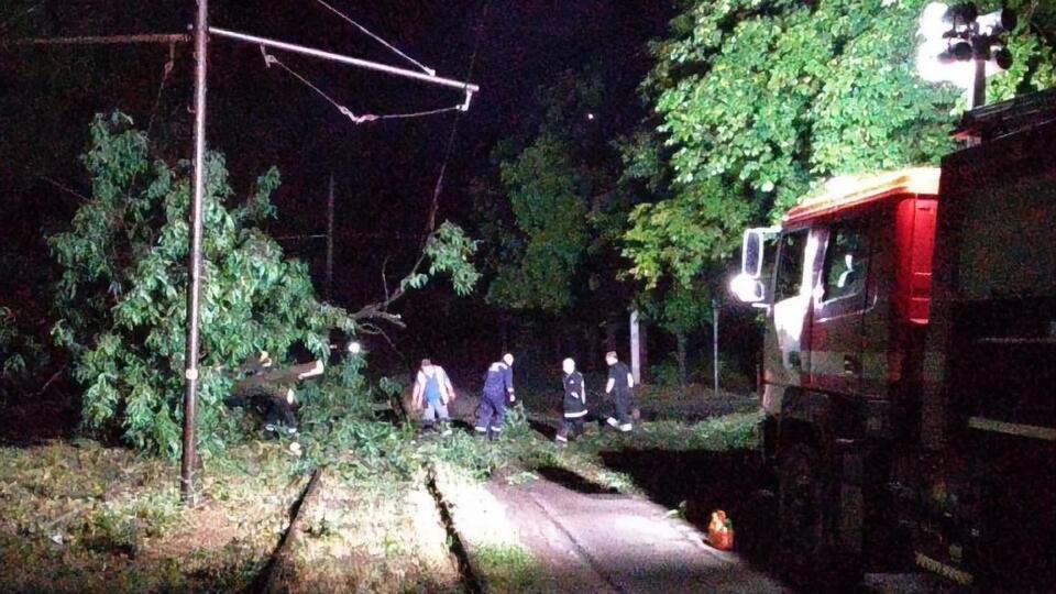 Сильний вітер повалив сотні дерев у Кривому Розі