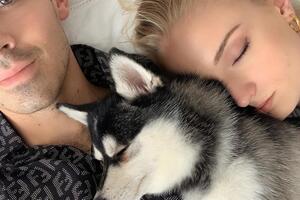 Тернер: Я скучаю по тебе, Уолдо. Покойся с миром, мой маленький