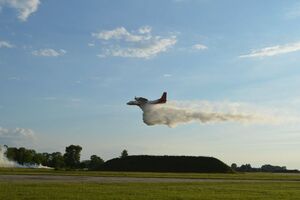 Займання сталося в замінованому лісі