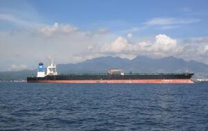 Grace 1 задержали 4 июля