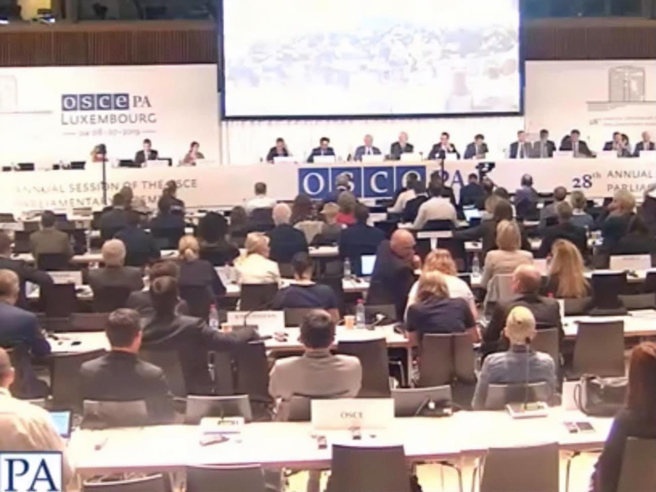 ПА ОБСЄ ухвалила Люксембурзьку декларацію 8 липня