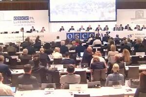 ПА ОБСЄ ухвалила Люксембурзьку декларацію 8 липня