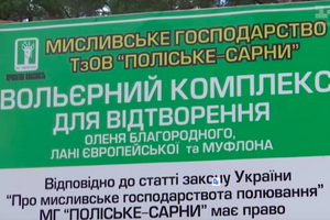 Відпочинок для Ситника був безкоштовним, стверджує його товариш