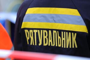 Пожежу ліквідували за годину