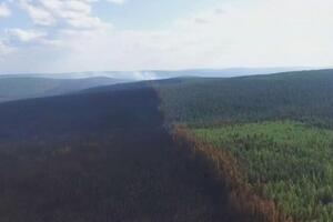 Поначалу в России отказывались тушить пожары