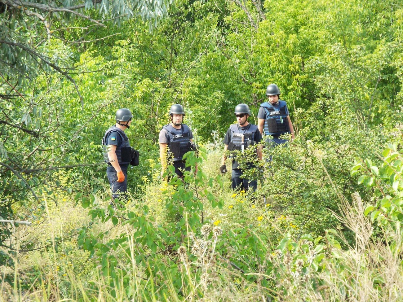 1 августа саперы Госслужбы Украины по чрезвычайным ситуациям начали разминировать территорию возле моста у Станице Луганской