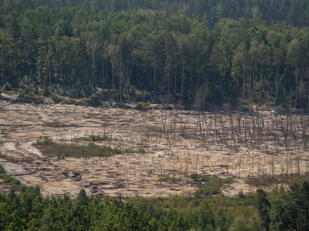 Зеленський заявив, що масштаби незаконного видобування бурштину в Україні сягнули рівня екологічного лиха