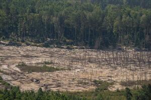 Зеленський заявив, що масштаби незаконного видобування бурштину в Україні сягнули рівня екологічного лиха