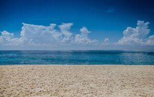 14 пляжів Києва не рекомендовані для купання