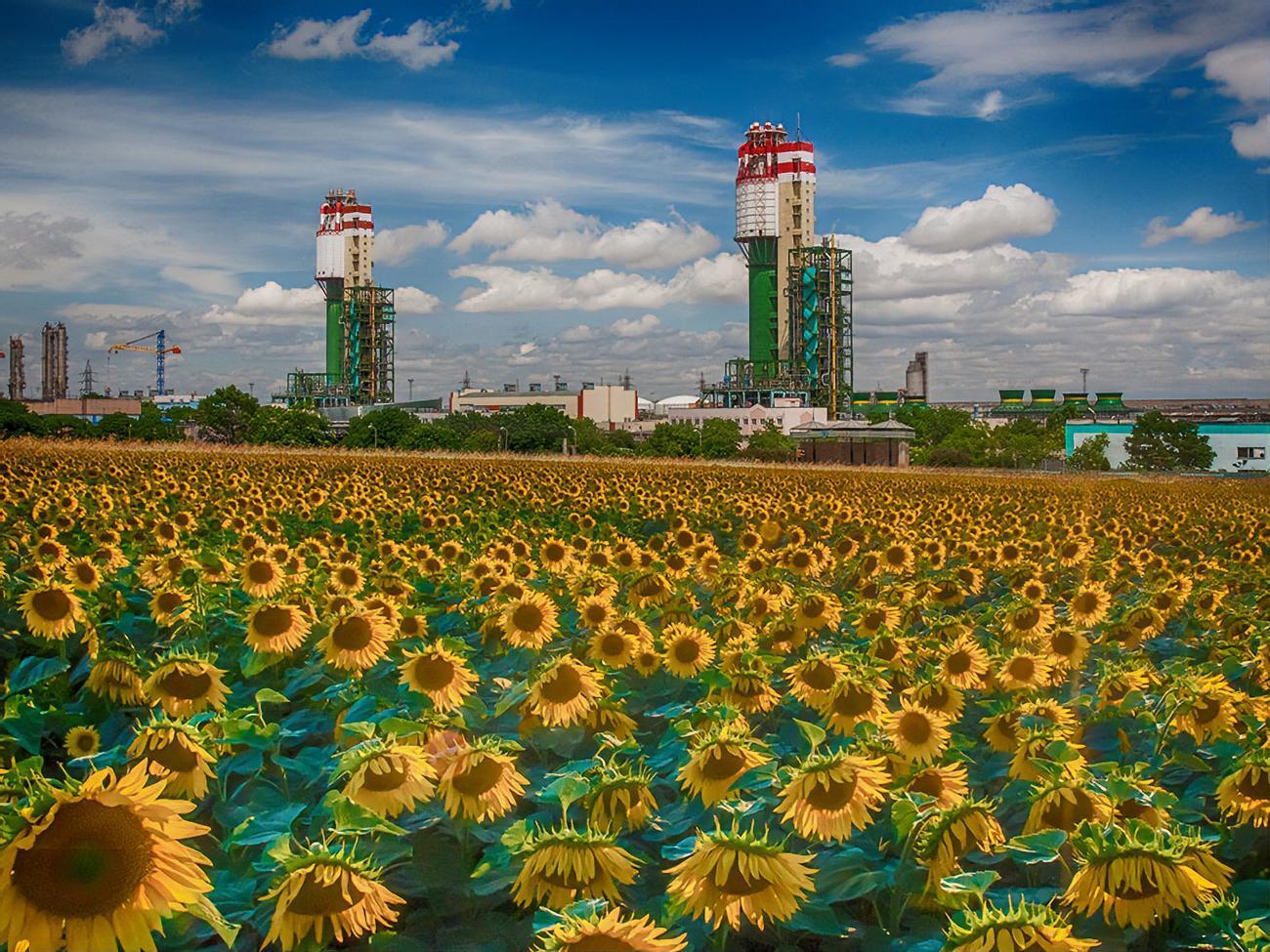 В начале августа ОПЗ возобновил работу