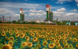 В начале августа ОПЗ возобновил работу