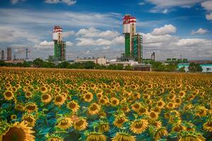 В начале августа ОПЗ возобновил работу