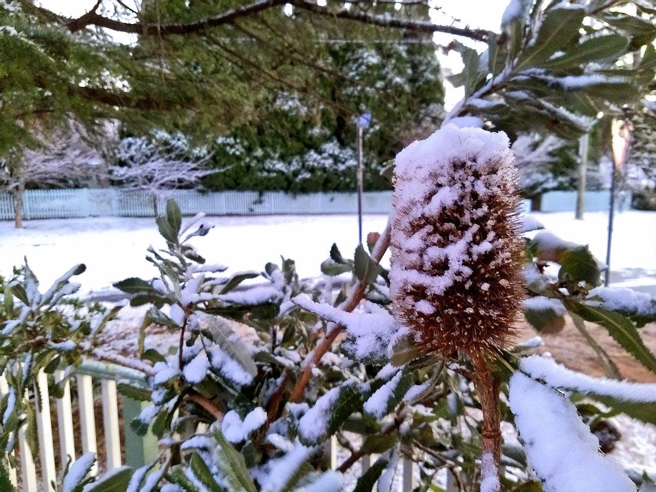 С сегодняшнего дня непогода в Австралии пойдет на спад