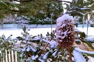 С сегодняшнего дня непогода в Австралии пойдет на спад