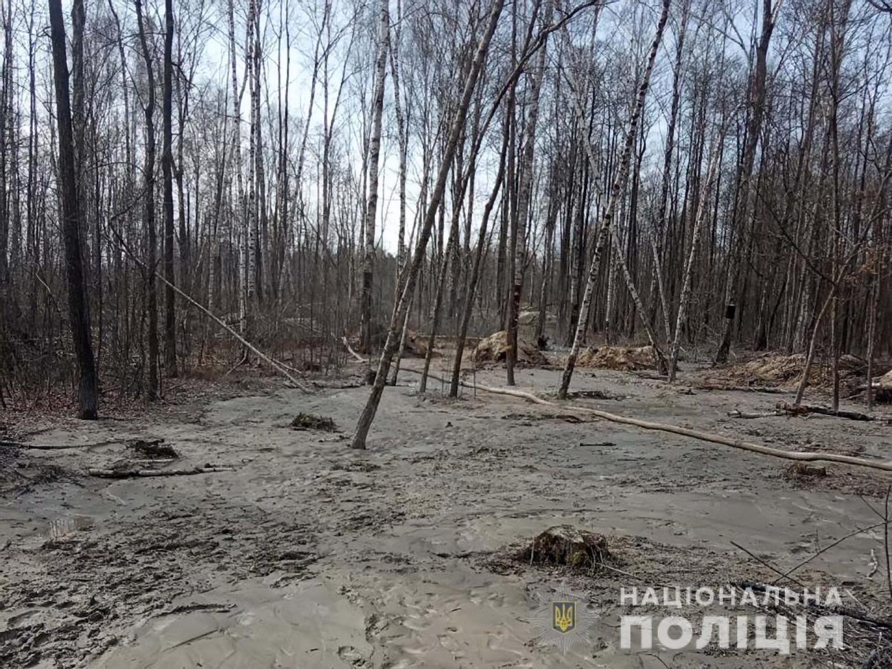 Бурштин в Україні видобувають у Волинській, Житомирській та Рівненській областях