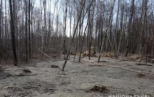 Янтарь в Украине добывают в Волынской, Житомирской и Ровенской областях