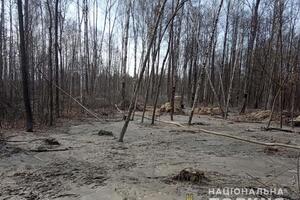 Бурштин в Україні видобувають у Волинській, Житомирській та Рівненській областях