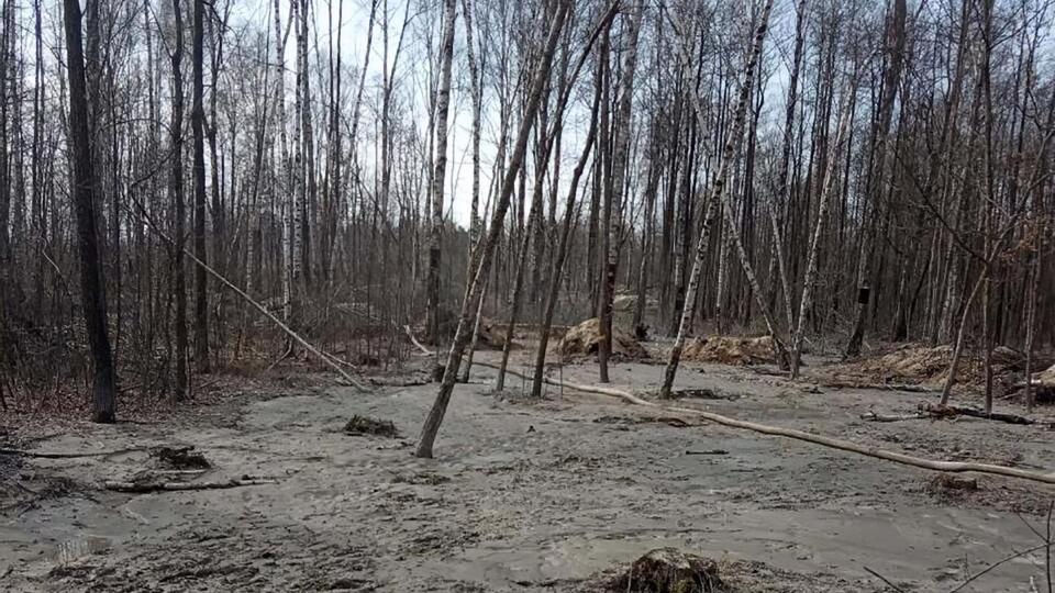 Янтарь в Украине добывают в Волынской, Житомирской и Ровенской областях