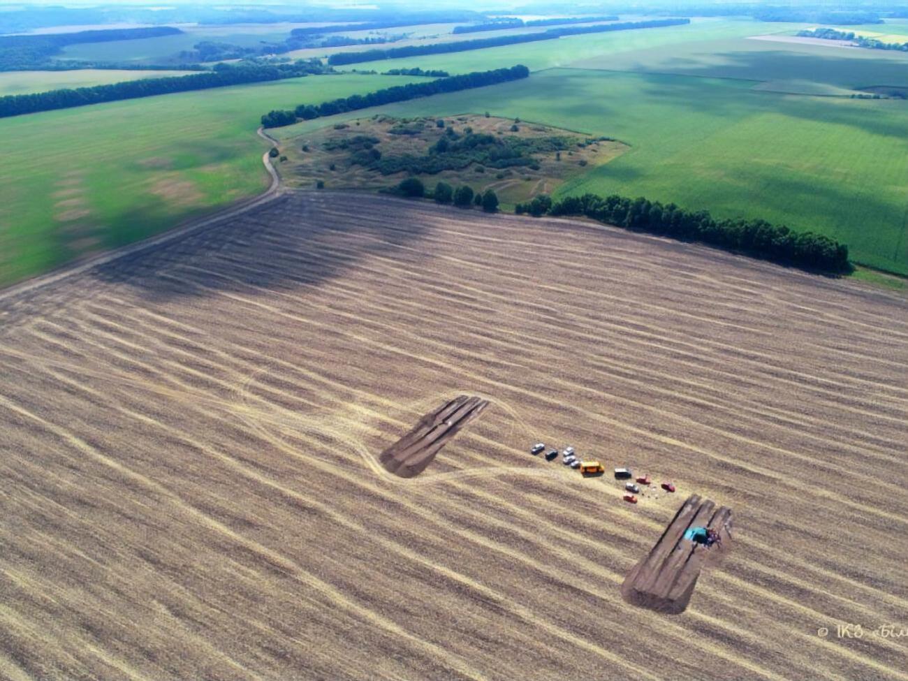 Раскопки вели на поле, где месяц назад росла пшеница