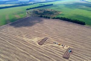 Раскопки вели на поле, где месяц назад росла пшеница