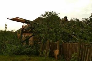 Негода пошкодила будинки в Чернігівській області