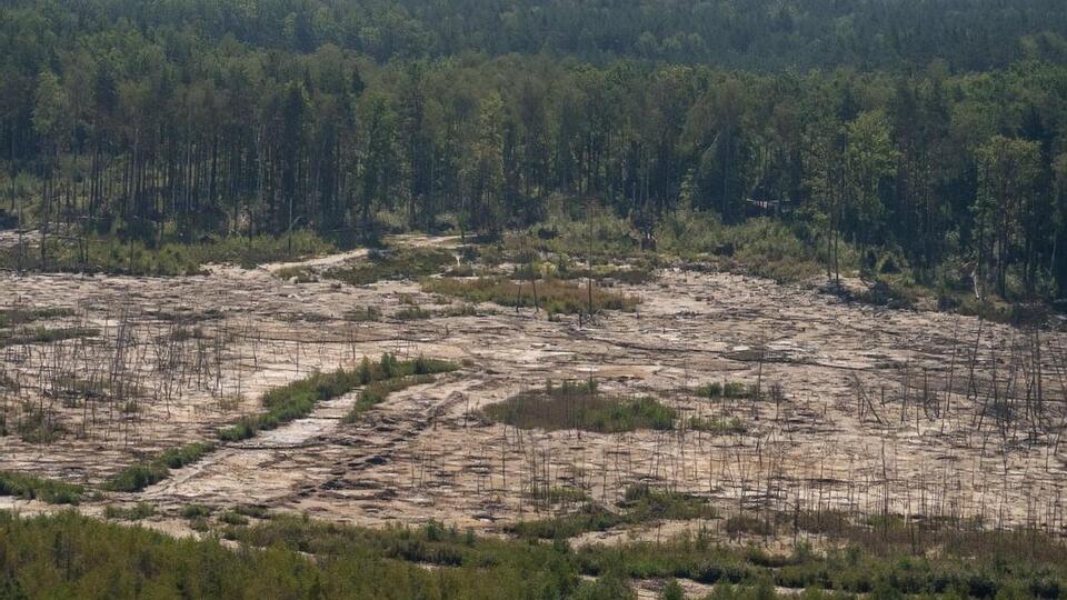 Незаконне видобування бурштину налагоджено в Рівненській, Волинській та Житомирській областях