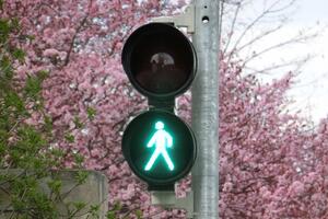 В современных светофорах зеленый свет располагается снизу