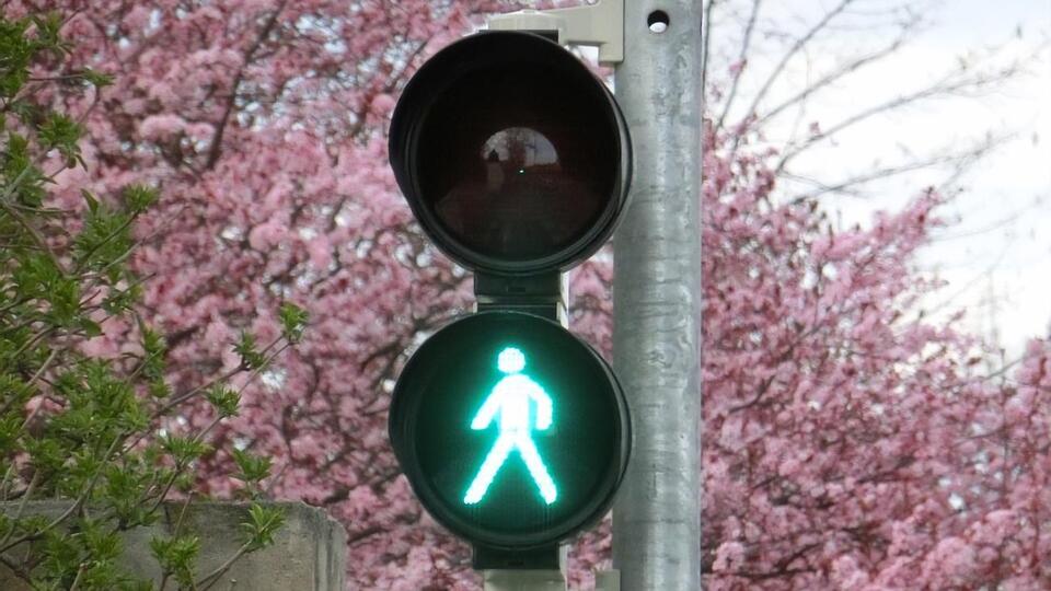 В современных светофорах зеленый свет располагается снизу