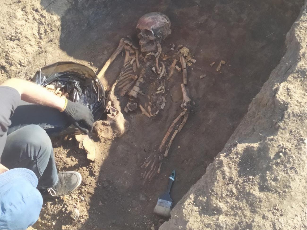 Поховання виявили поблизу села Златопіль