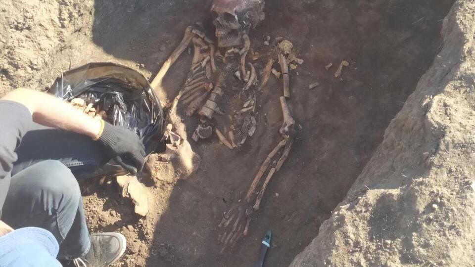 Захоронение обнаружили вблизи села Златополь