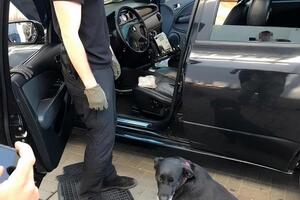 Подозреваемый прятал наркотики в машине
