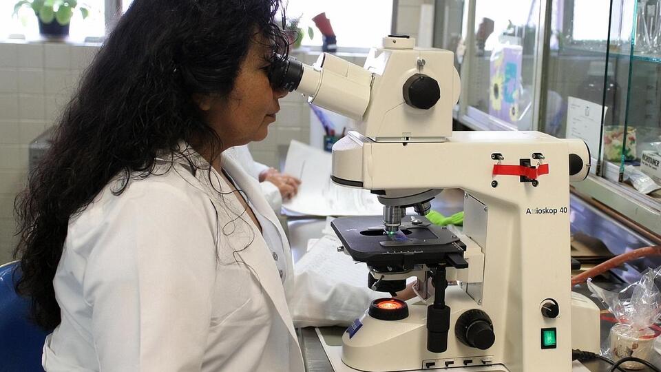 Экспертиза показала, что причиной массового отравления стал галофильный вибрион и кишечные инфекции условной патогенной флоры