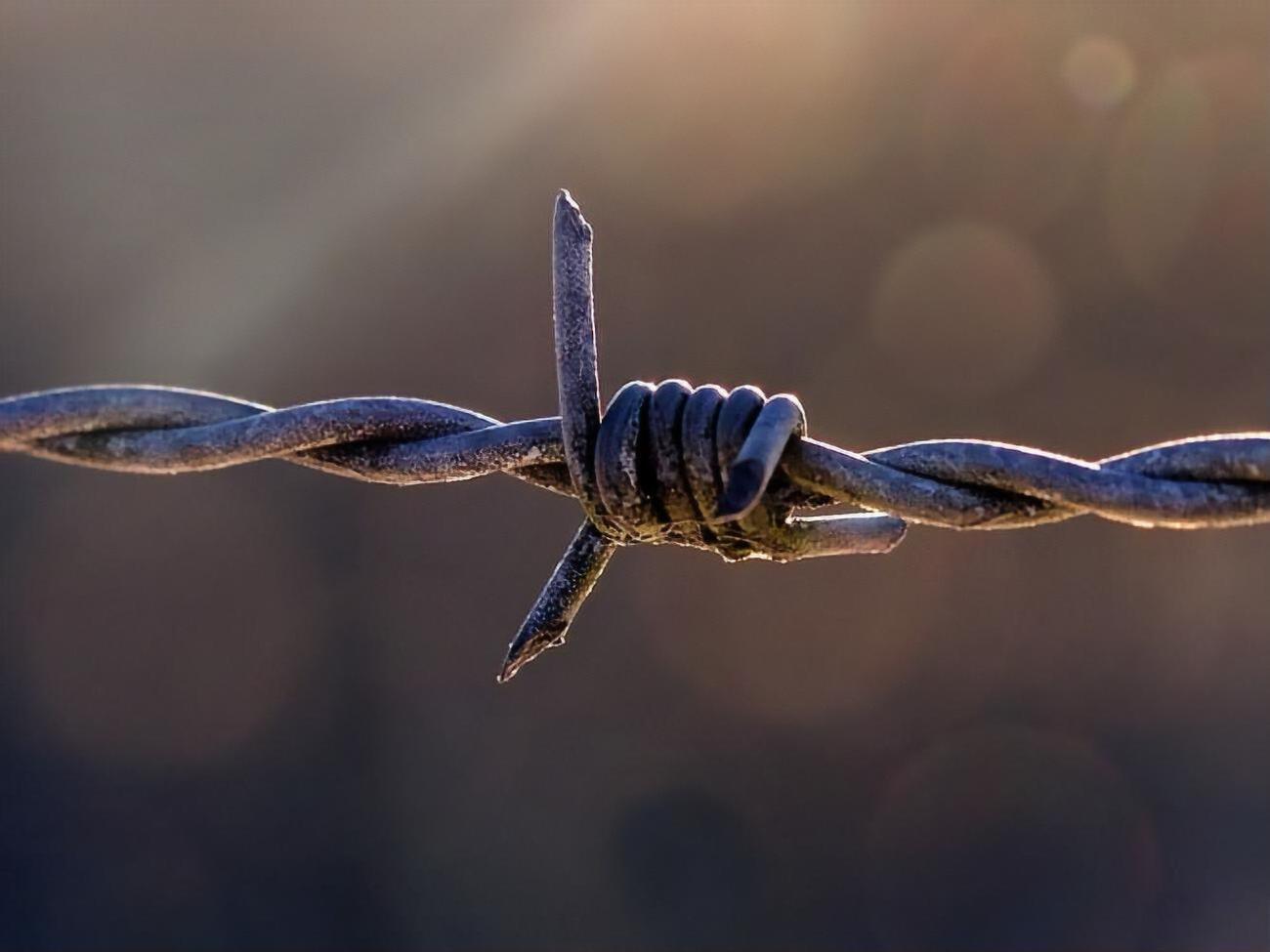 Північно-Кавказький окружний військовий суд у Ростові-на-Дону засудив Ісмаїлова до 14 років позбавлення волі