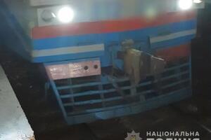Чоловік сидів на рейках і не реагував на сигнали машиніста