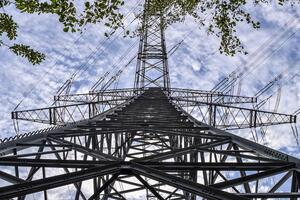 Прозорість графіка цін на термінові контракти дає покупцям і продавцям певний ступінь упевненості в майбутніх цінах, зазначив експерт