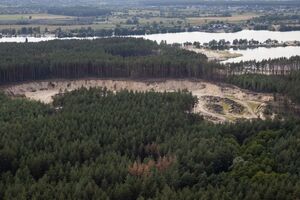 Про Гутянський лісгосп ішлося під час відвідування президентом Харківської області в липні