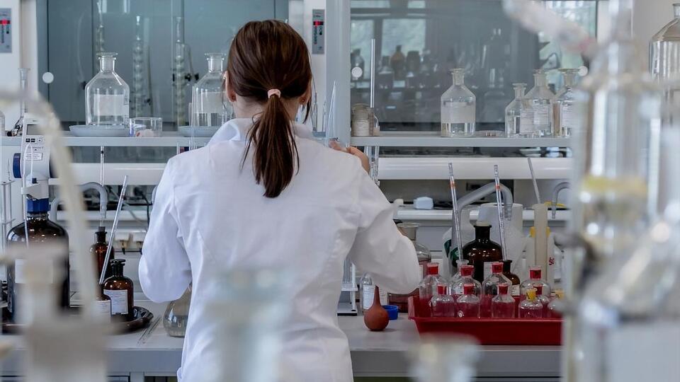 Переносчиками болезни могут быть грызуны, домашние животные, лисы