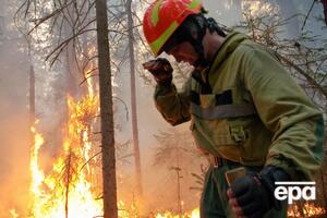 Площа пожежі, за даними МНС РФ, зменшилася