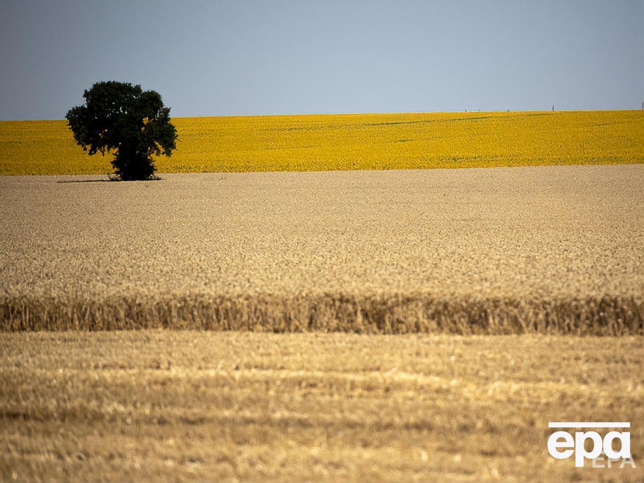 Мораторій на продаж землі діє до 2020 року