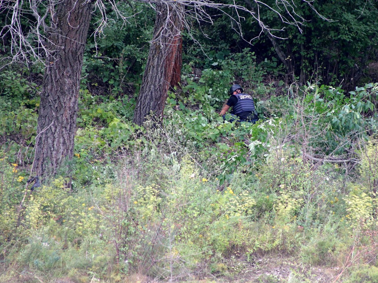 Фахівці перевіряють на наявність вибухонебезпечних предметів лісосмуги та дороги