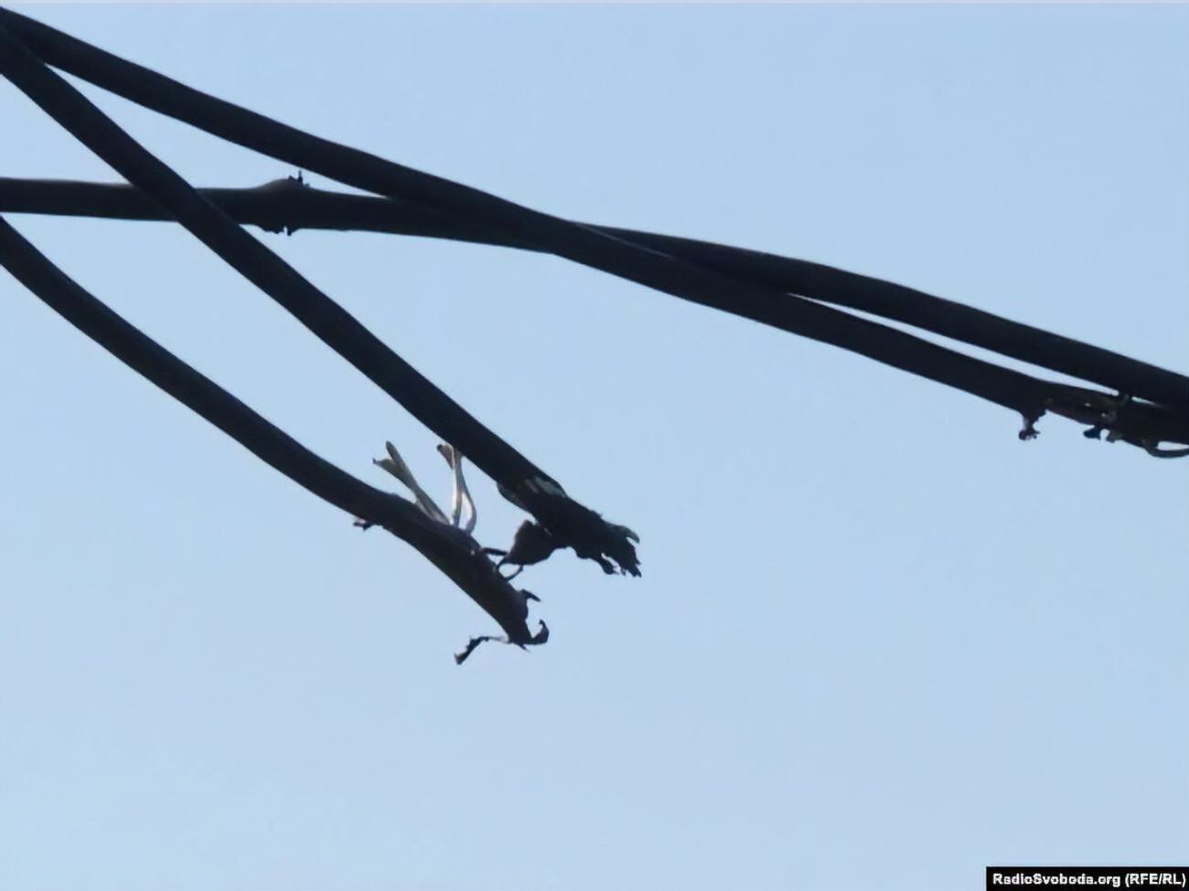 Обірваний провід електропередач упав на проїжджу частину, де перебували жінка та її онука